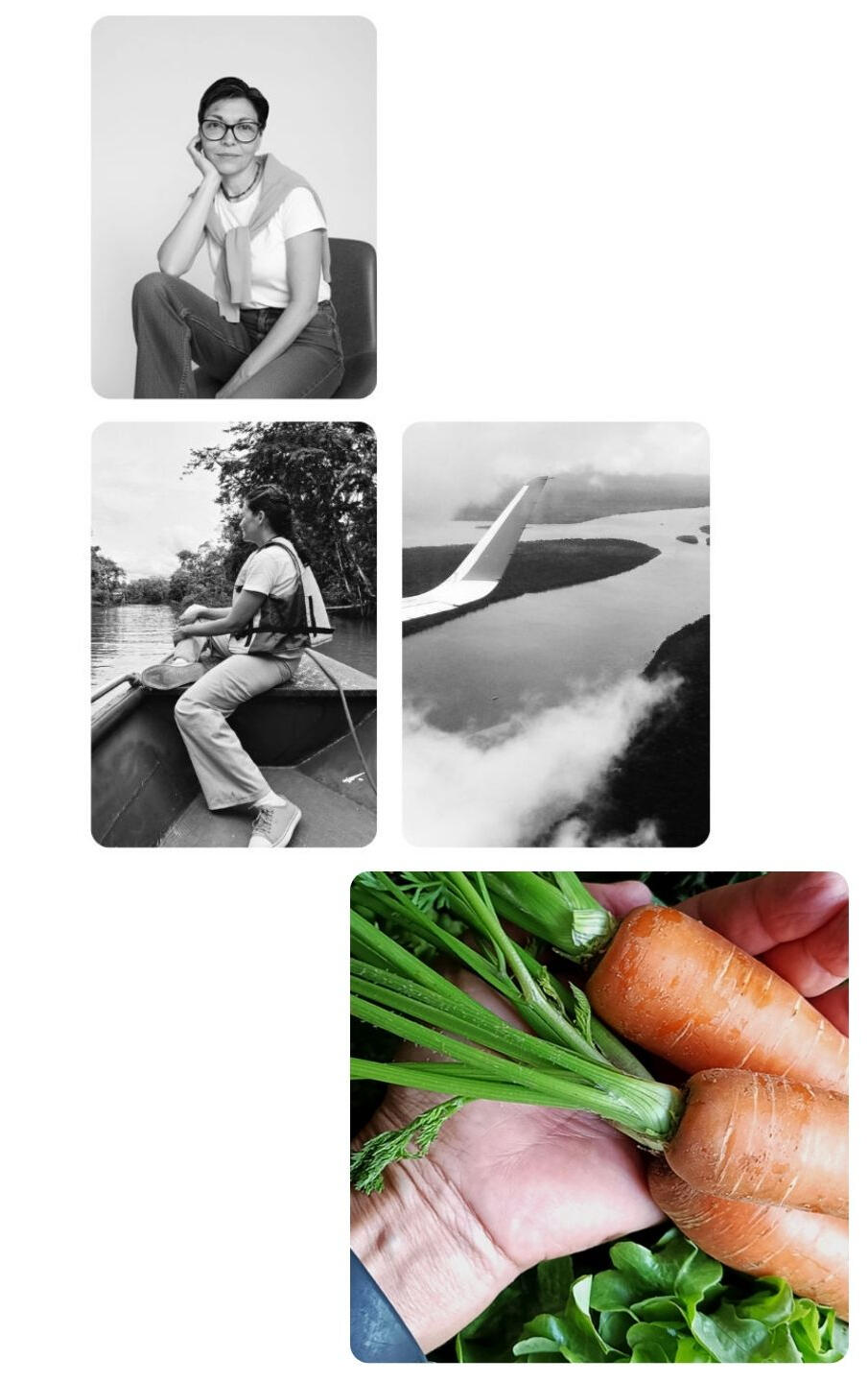denise-facciuto-fundadora-omicha-falafel-cha-gelado-chocolate-bean-to-bar-dionisio-torres-fortaleza.jpg Mosaico de fotos composto por três imagens em preto e branco e uma colorida. No topo, retrato de Denise Facciuto, fundadora da OMICHA. Ao centro, registros de expedições técnicas: uma mulher na proa de um barco navegando por um rio e uma vista aérea da flo