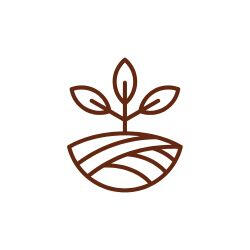 icone-alimentosorganicos-omicha.jpg Ícone minimalista em linhas marrons exibindo um broto com folhas crescendo a partir de uma porção de solo cultivado, representando a pureza dos alimentos orgânicos da Omicha em Fortaleza.