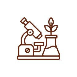 icone-seguranca-alimentar-omicha.jpg Ícone marrom ilustrando um microscópio ao lado de um balão de laboratório com uma planta brotando, destacando o rigor técnico, segurança e saúde alimentar na curadoria dos chocolates da Omicha.